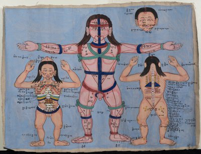 Anatomical Chart by Tibetan School